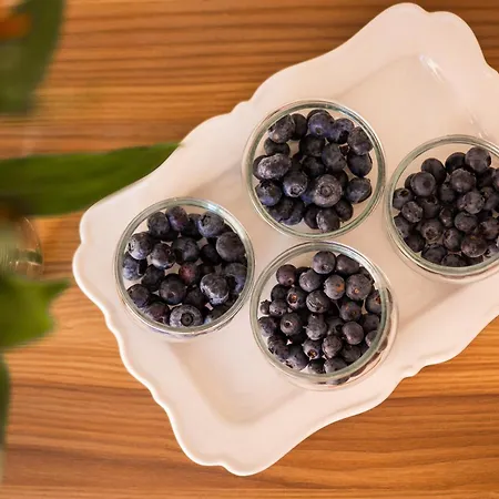 Maison d'hôtes L'acero Sublime Feriolo